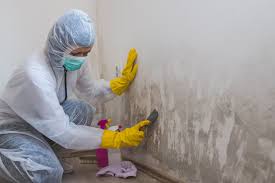 Best Mold Odor Removal Services  in , OR